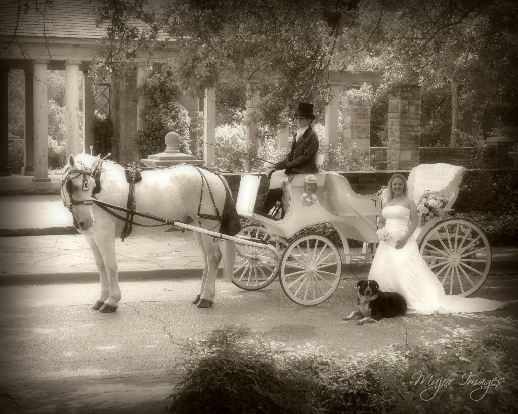 Knob Hill Carriage Driving - Bridal Portraits
