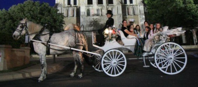 Northeast Texas Horse-drawn Carriage Service