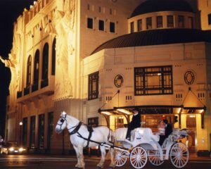 Knob Hill Carriage Driving - Weddings